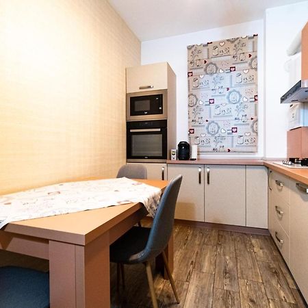 Yan Apartment - Near Mall & Free Private Parking Braşov Dış mekan fotoğraf